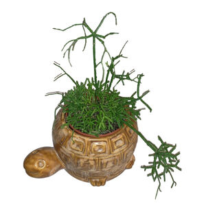 McCoy Turtle Planter Brown USA